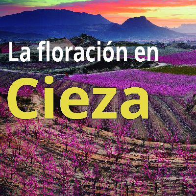 Episode 7: La Floración en Cieza