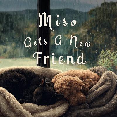 Miso Gets a New Friend - A Cozy Bedtime Story for Adults
