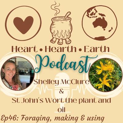 Ep. 46 St John's Wort, Seasonal Foraging, Oil Making and Use Ep. 46 St John's Wort, Seasonal Foraging, Oil Making and Use