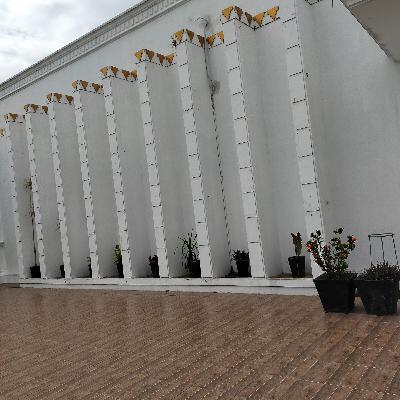 "Wood Wide Web: Scientists to map hotspots of fungal life" "More work needed to create green jobs"