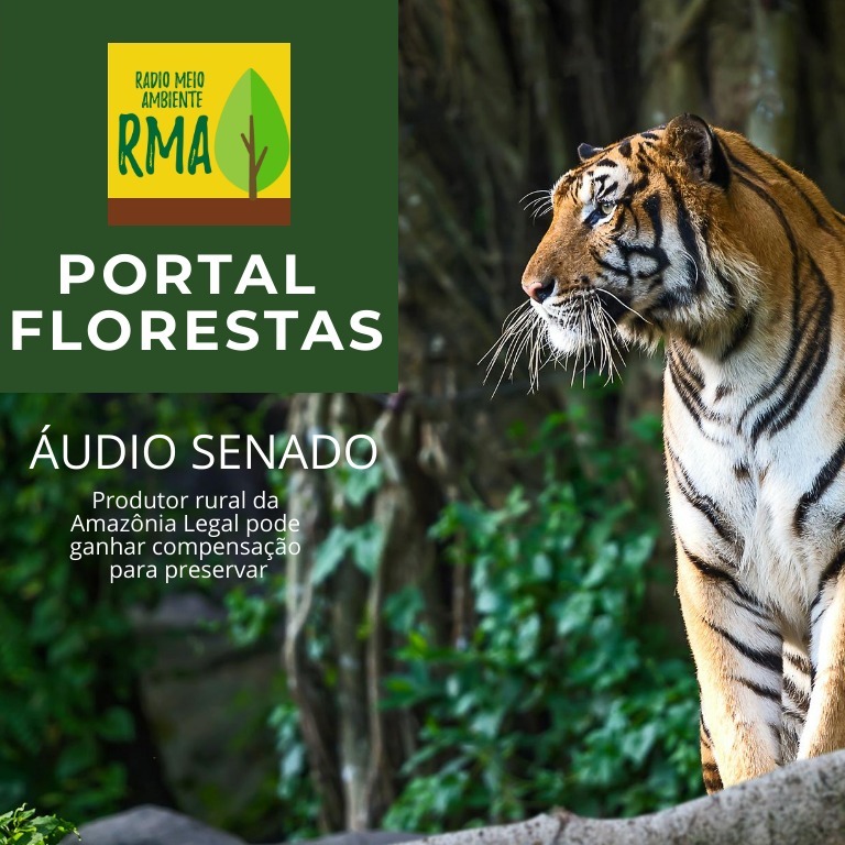 PORTAL AMBIENTAL