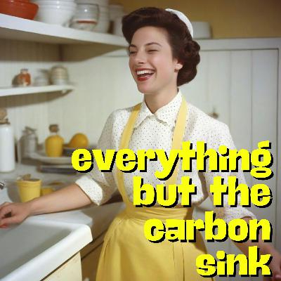 Everything but the Carbon Sink - Teaser