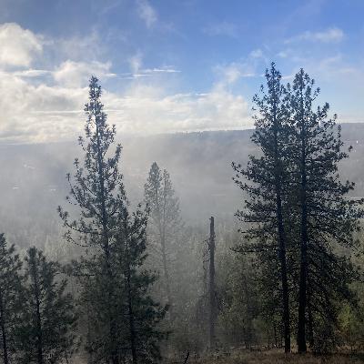 1.248 🤠 What Kinda Man cover