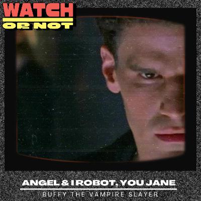 Buffy the Vampire Slayer: Angel and I Robot, You Jane
