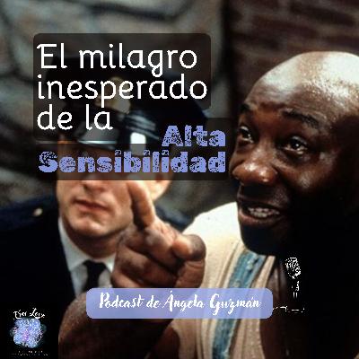 El milagro inesperado de la Alta Sensibilidad