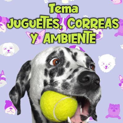 Cap9/ Juguetes, Correas y Ambiente /Videoclases Interactivas