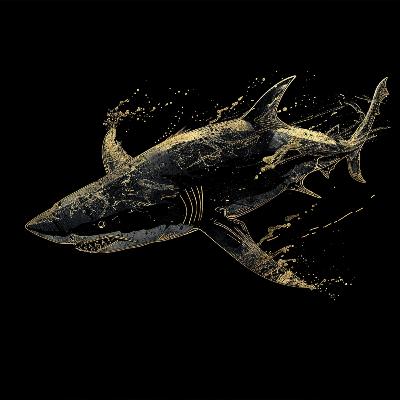 Piadas 19 - É a dúvida que nos faz avançar Piadas 19 - É a dúvida que nos faz avançar