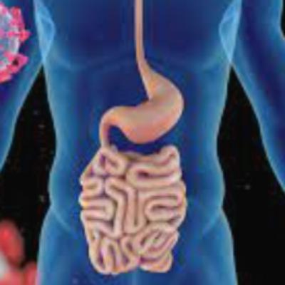 Episode 74: Digestion: Part 2- What Feeds or Harms the Gut Microbiome?