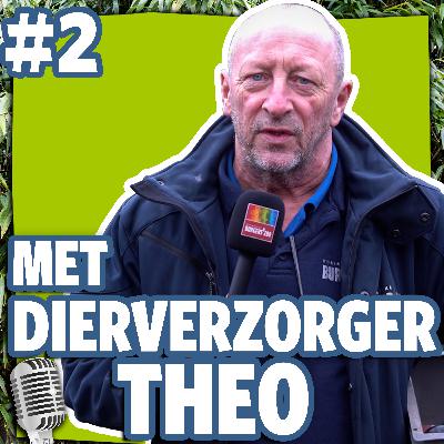 #2: met dierverzorger Theo bij de panters #2: met dierverzorger Theo bij de panters