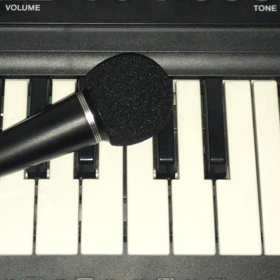 SMS Stimme mit Simon SMS Stimme mit Simon