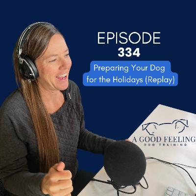 334. Preparing Your Dog for the Holidays (Replay)