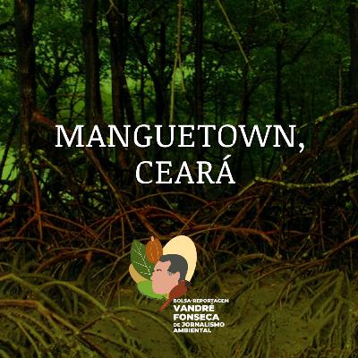 Não mate nada além de tempo | Manguetown, Ceará | #EP 04