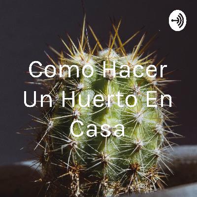 Cultivo en casa