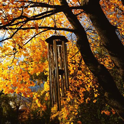 Autumn Wind & Chimes | Night Forest Sounds for Sleep Autumn Wind & Chimes | Night Forest Sounds for Sleep