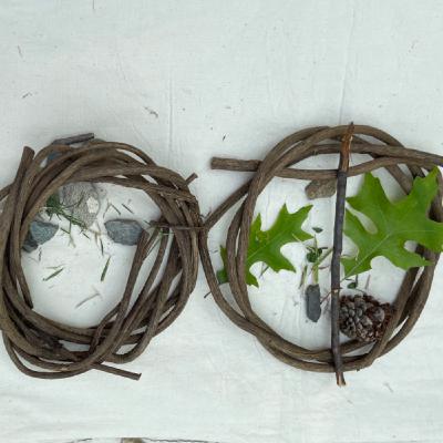 EP208 你可知道里山里海?(下) / 校園公園的綠生活 EP208 你可知道里山里海?(下) / 校園公園的綠生活