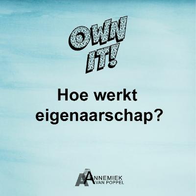 11. Eigenaarschap in je team - Martine Veeger 11. Eigenaarschap in je team - Martine Veeger