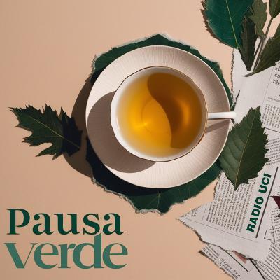 Palline da tennis come case per topolini e vasi di coccio al posto dei condizionatori