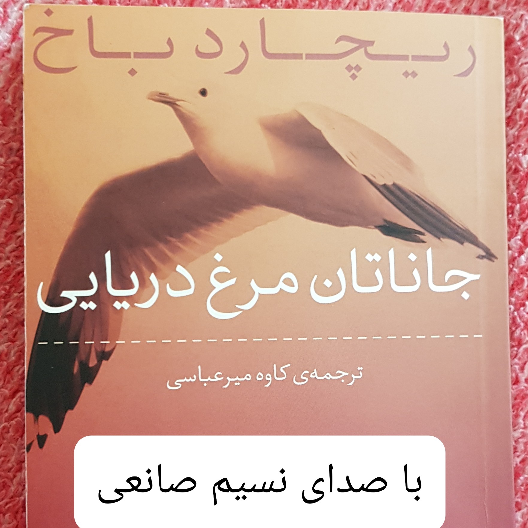 جاناتان مرغ دریایی، بخش یکم