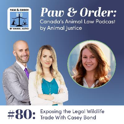 #80: Exposing the Legal Wildlife Trade With Casey Bond