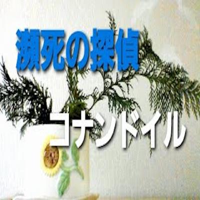 『瀕死の探偵』４の２　シャーロック・ホームズ　コナン・ドイル作 from Radiotalk