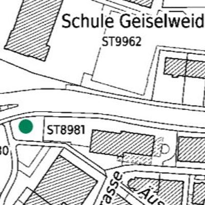 Gingkobaum an der St.Gallerstrasse