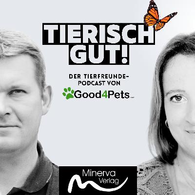 "Rückrufprobleme - Was tun, wenn der Hund nicht hört?"