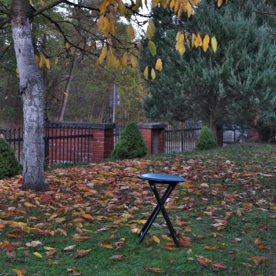 Jak urządzić swoją duchową siłownię? Jak urządzić swoją duchową siłownię?