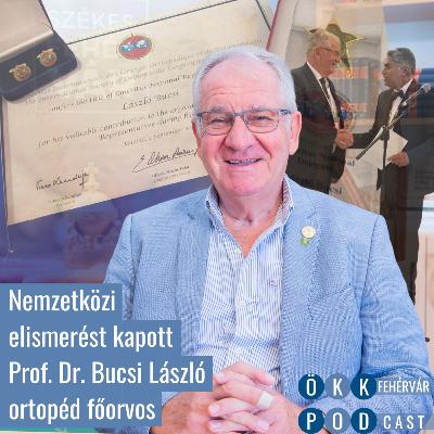 Nemzetközi elismerésben részesült Prof. Dr. Bucsi László Nemzetközi elismerésben részesült Prof. Dr. Bucsi László