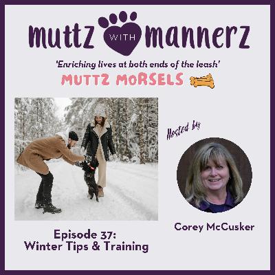 Episode 38: Winter Tips and Training for Dogs