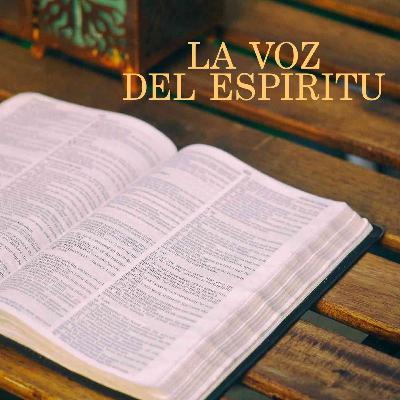 Tema las heridas y el perdón