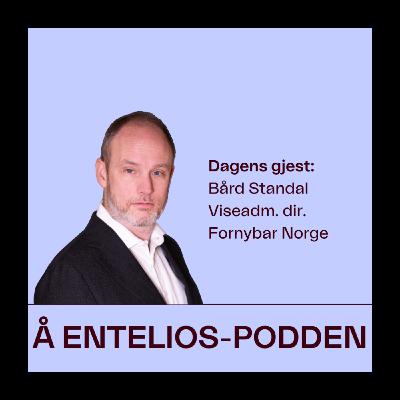 Fornybar Norge-topp: Litt ironisk å innføre «Norgespris»