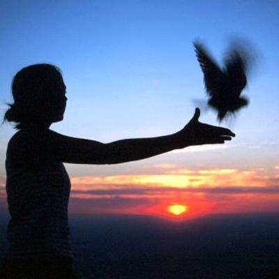 La teoria del desapego. La teoria del desapego.