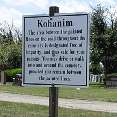 386. Emor - Extra Defilement for a Kohen