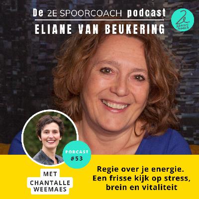 #53 - Chantalle Weemaes