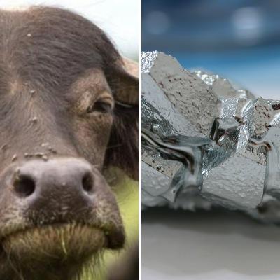 Tahun baru, kami tetap culun ternyata...