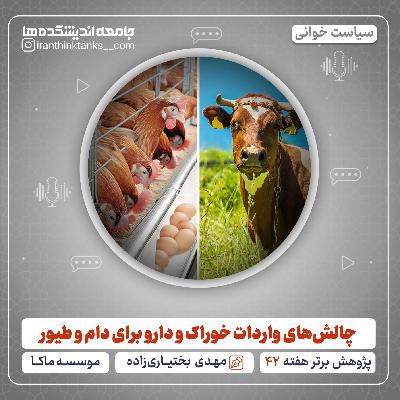 چالشهای واردات خوراک و دارو برای دام و طیور چالشهای واردات خوراک و دارو برای دام و طیور