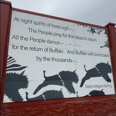 New mural in Missoula honors Indigenous language and resilience