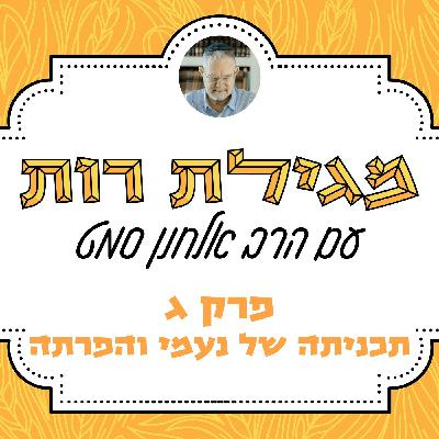 פרק ג - תכניתה של נעמי והפרתה | מגילת רות | הרב אלחנן סמט