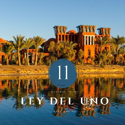 Ley del uno (material de Ra). Resumen sesión 20