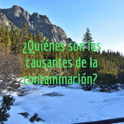 La contaminación