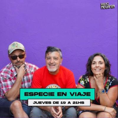 ESPECIE EN VIAJE: PAULA PEDRAZA NOS HABLA SOBRE TRABAJO, GÉNERO Y POBREZA EN LA ARGENTINA