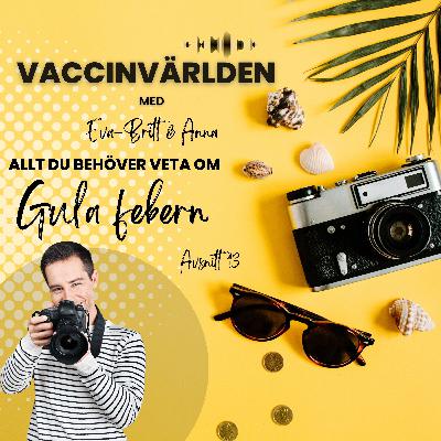 Allt du behöver veta om Gula febern Allt du behöver veta om Gula febern