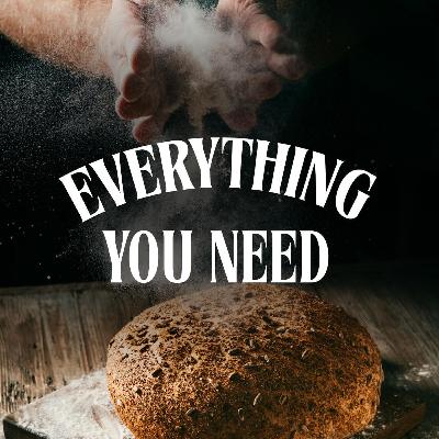 Everything You Need Everything You Need