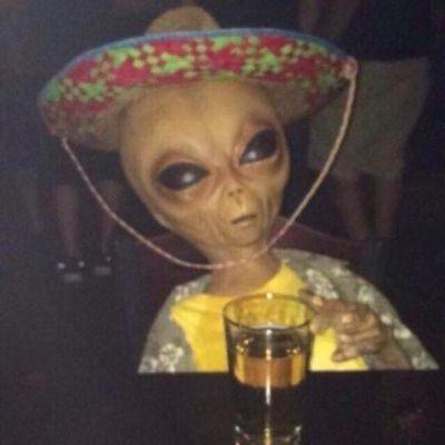 LAS TEORÍAS LAS TEORÍAS