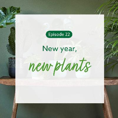 22: New year, new plants