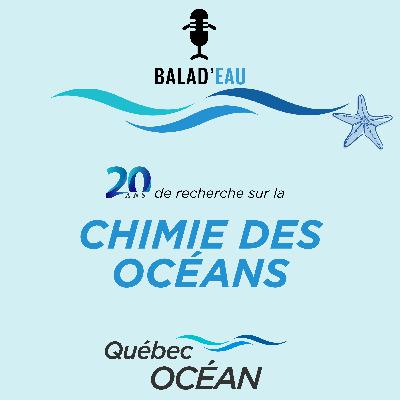 20 ans de recherche sur la CHIMIE DES OCÉANS avec Québec-Océan