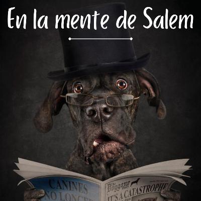 Un bully llamado Pit