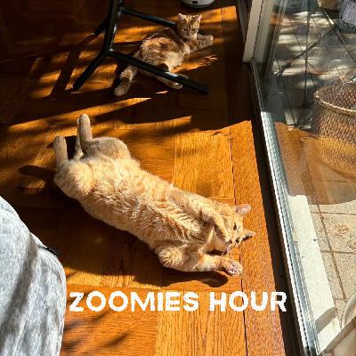 #033 ここがヘンだよ、お猫さん #033 ここがヘンだよ、お猫さん