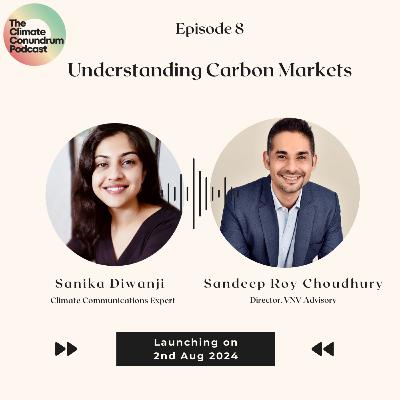 Understanding Carbon Markets