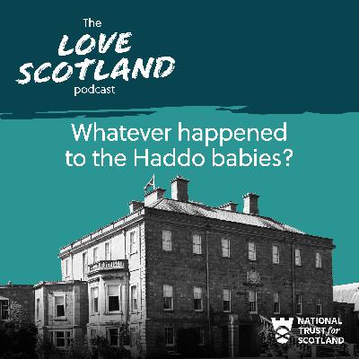 Whatever happened to the Haddo babies?